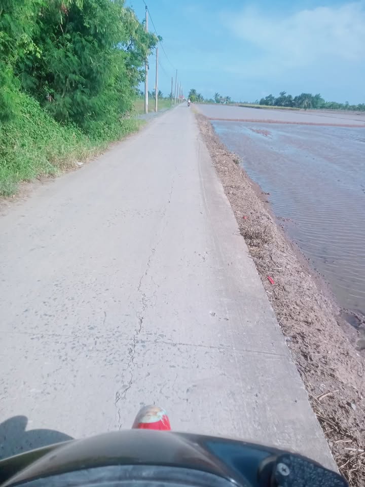 Đất nông nghiệp 5600m² tại Tân Điền, Gò Công Đông - Giá chỉ 850 triệu!