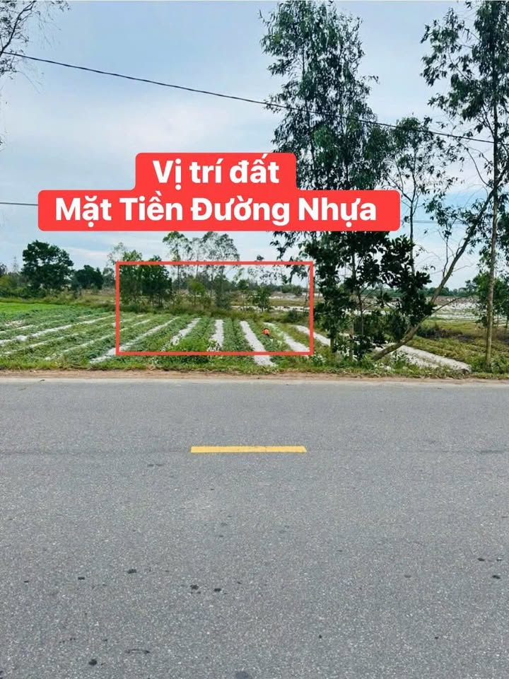 Đất trồng cây Thăng An 260m² giá chỉ 200 triệu - Mặt tiền đường DT613!