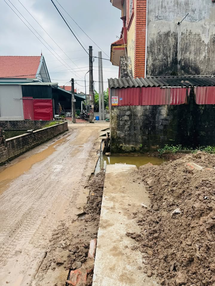 Đất nền Ngọc Thanh, Kim Động, Hưng Yên 115m² giá 1.3 tỷ - Đường thông tứ ngả thuận tiện!