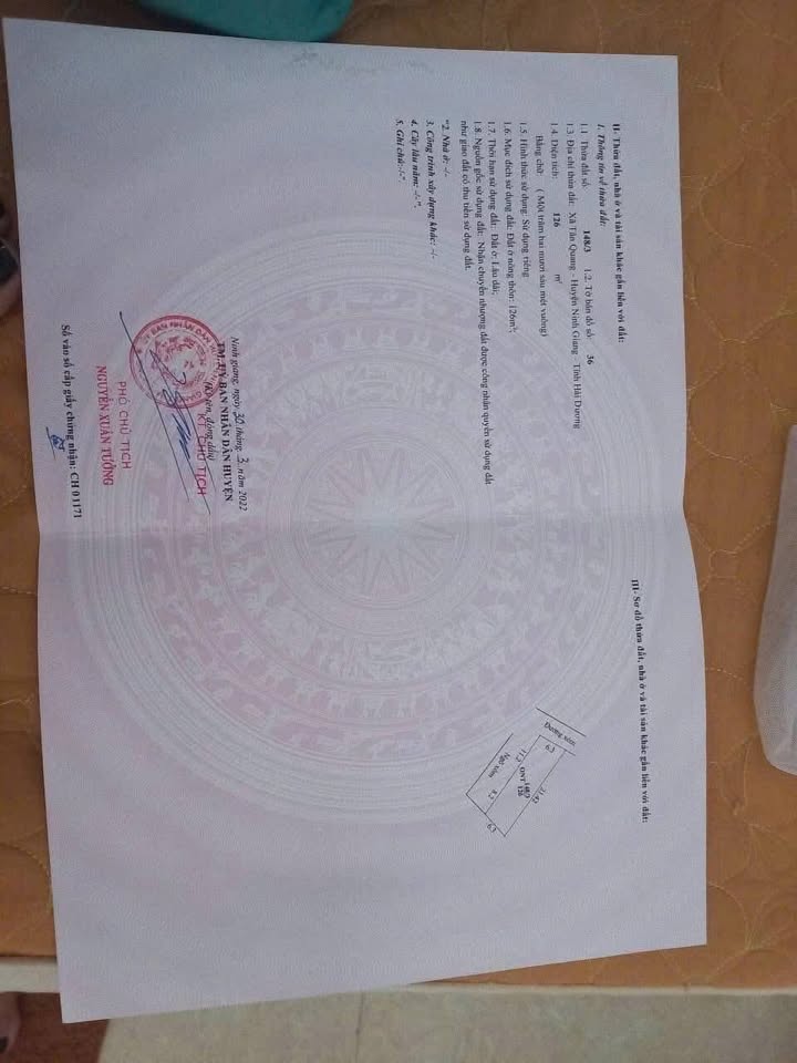 Đất nền Tân Quang Ninh Giang 126m² giá 10xx - Cơ hội đầu tư hấp dẫn!