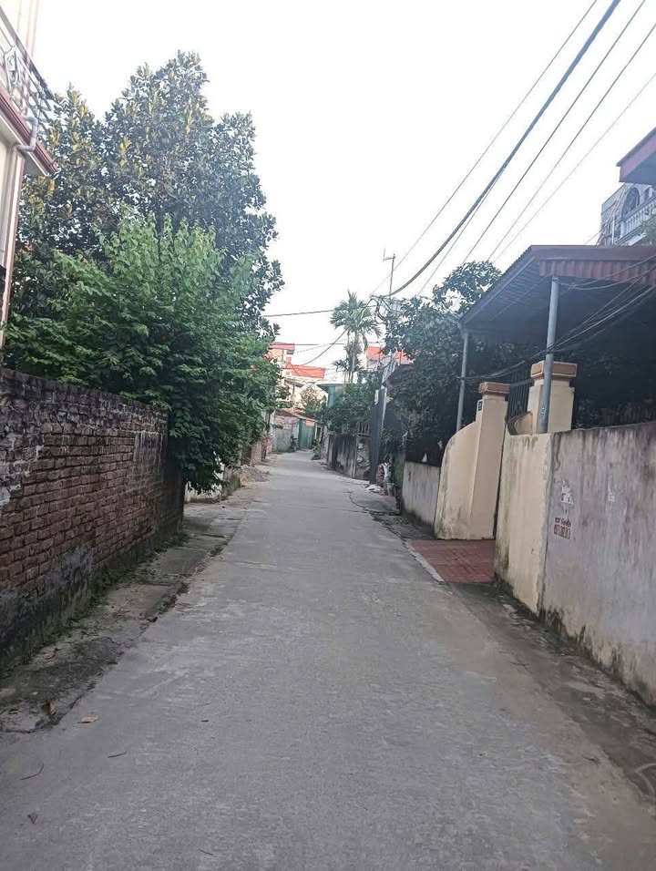 Đất nền Thường Tín 169m² giá chỉ 3 tỷ - Đường ô tô vào tận nơi!