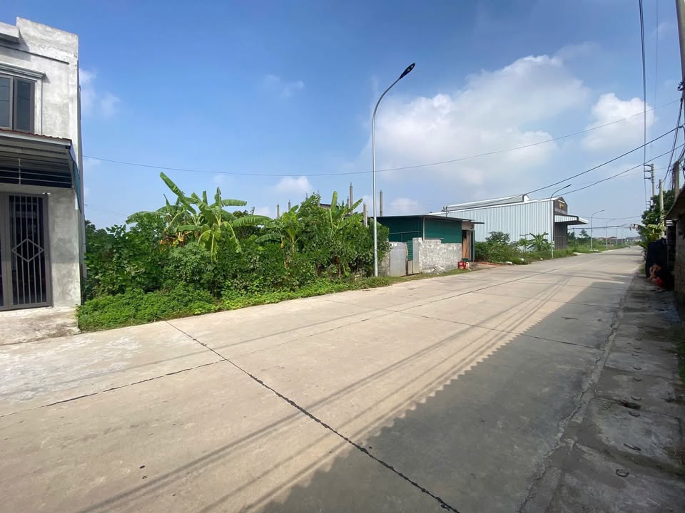 Đất đấu giá Đồng Cả, Tân Dân, Phú Xuyên 125m² - Mặt tiền 5m, Đầu tư sinh lời!