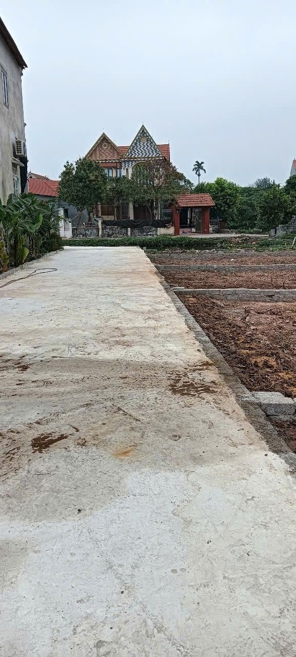 Đất nền Bạch Hạ, Phú Xuyên 81m² giá chỉ 1.68 tỷ - Tiềm năng đầu tư vượt trội!