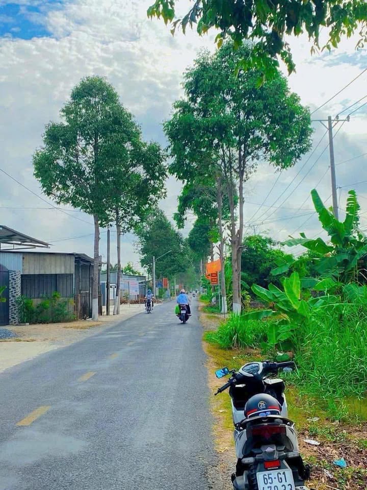 Đất nền 1200m² mặt tiền tỉnh lộ 925 Phú Hữu - Phù hợp định cư và mở công ty!