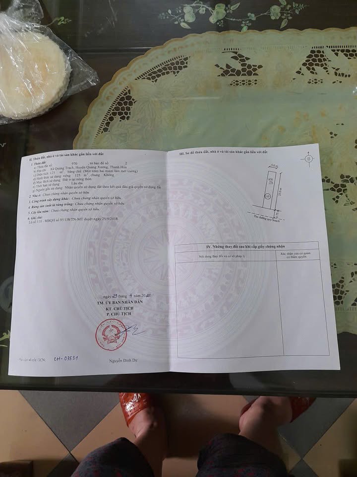 Đất nền Quảng Trạch 125m² giá 900 triệu - Sổ đỏ chính chủ ngay!