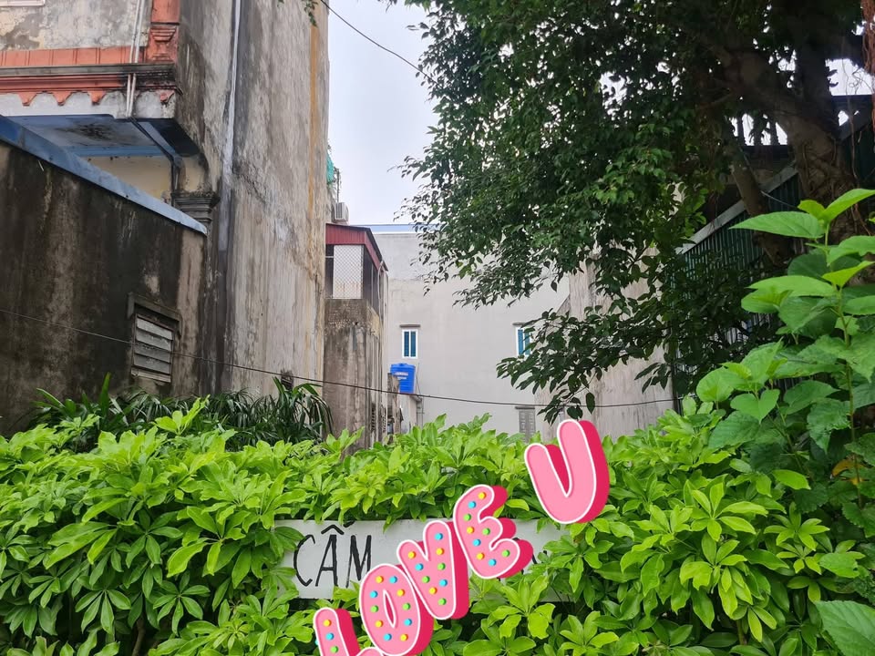 Đất mặt tiền đường 487, Nam Định 68m² giá 4,4 tỷ - Vị trí kinh doanh đỉnh cao!