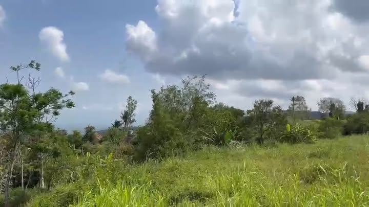 Đất thổ cư 4000m² tại An Thọ, Tuy An giá 2 tỷ - Cơ hội đầu tư tuyệt vời!