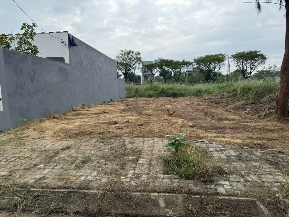 Đất nền Hòa Hải, Đà Nẵng 100m² giá 4.5 tỷ - Gần chợ hải sản và bãi tắm Tân Trà!