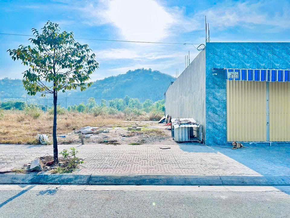 Đất nền TDC Kim Đinh 100m² giá 1.88 tỷ - Hướng Đông mát mẻ, sổ hồng chính chủ!