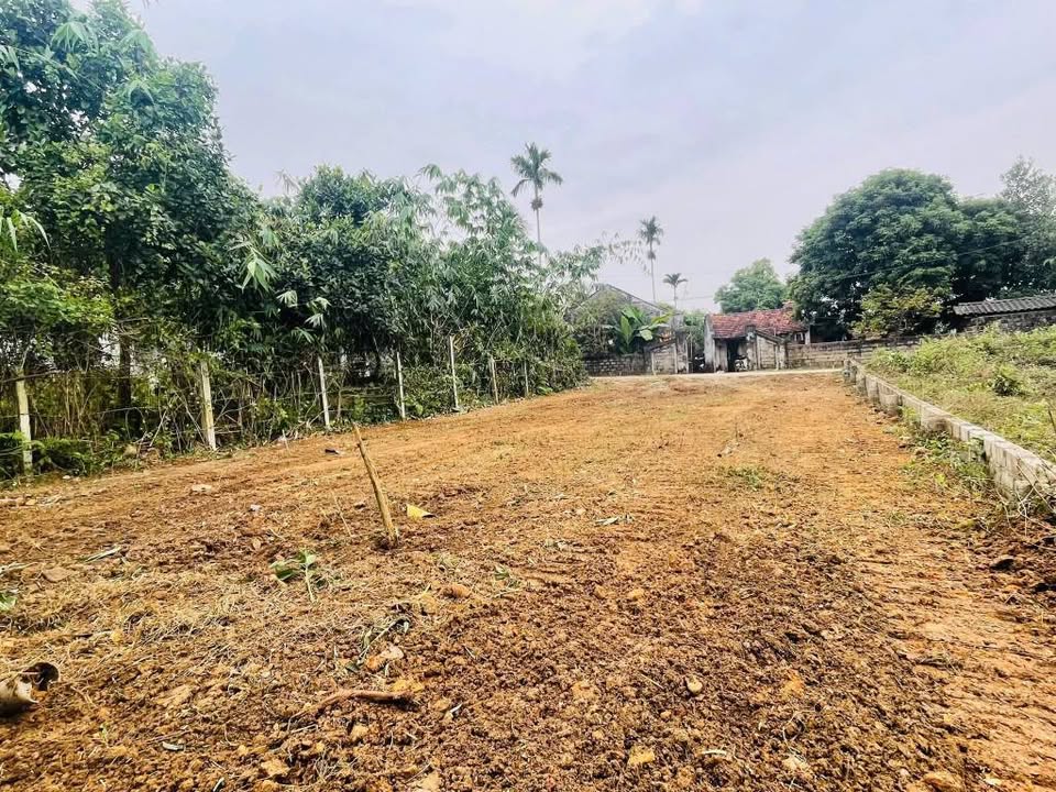 Đất thổ cư 270m² tại Yên Bài, Ba Vì - Chỉ 2 tỷ, sổ hồng chính chủ!