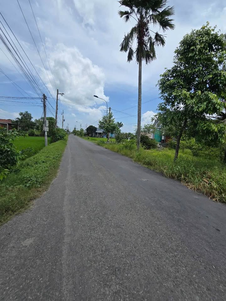 Nhà riêng Tân Trạch, Cần Đước 333m² giá 2.3 tỷ - Sổ hồng riêng chính chủ!