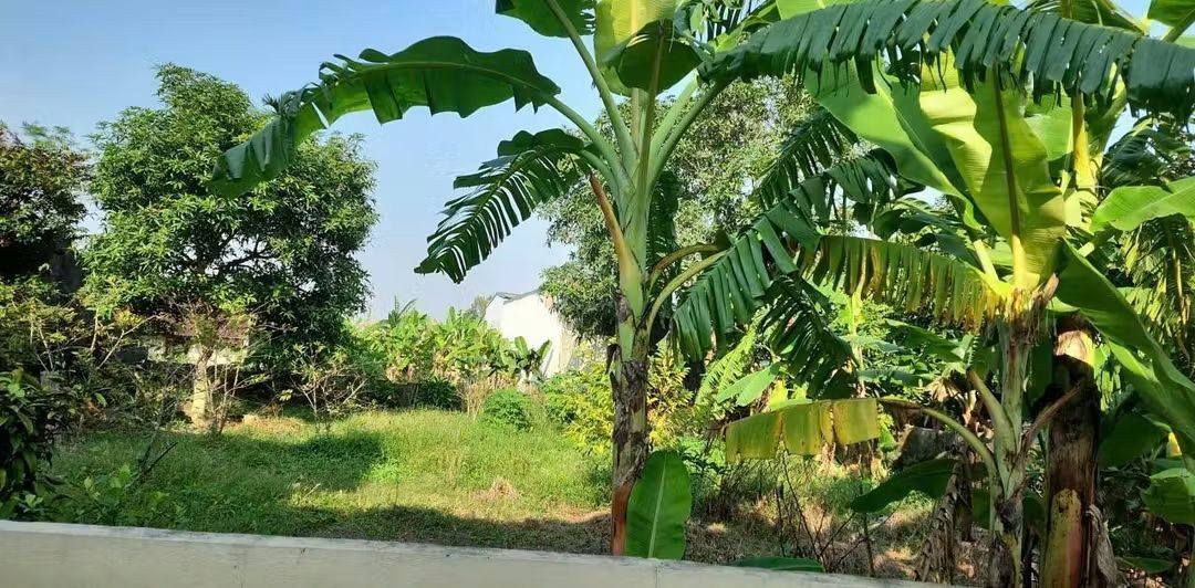 Lô đất 904m² xã Quảng Yên, Thanh Hóa - Giá chỉ 2 tỷ, cơ hội đầu tư hấp dẫn!