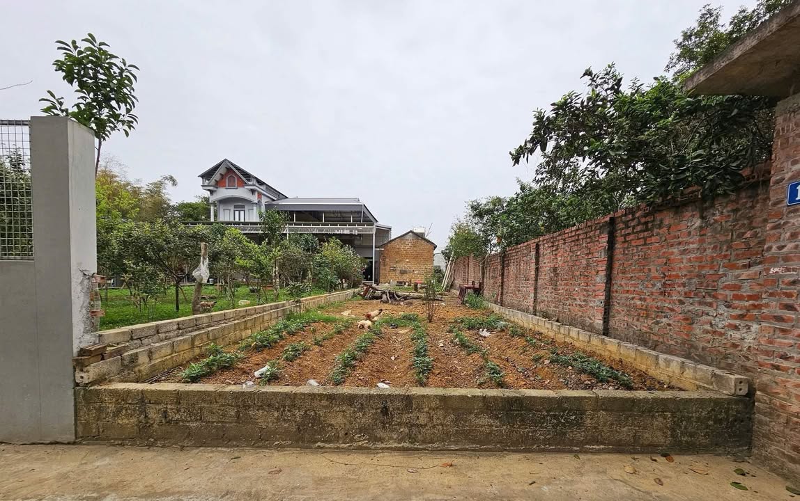 Đất nền Tân Xã Thạch Thất 100m² giá 4 tỷ - Cơ hội đầu tư tuyệt vời!