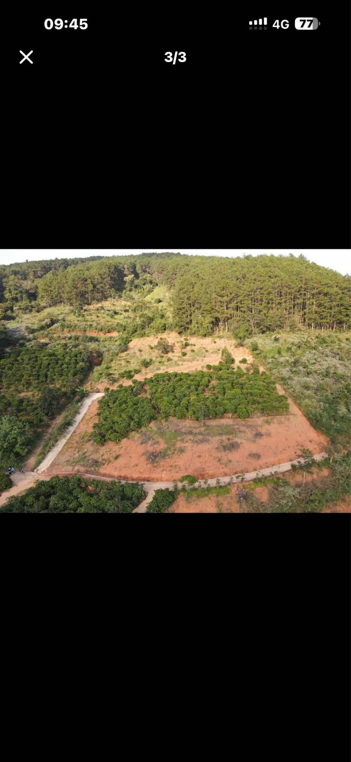 Đất nền Mê Linh Lâm Hà 417m² giá chỉ 850 triệu - Phong thủy vượng khí!