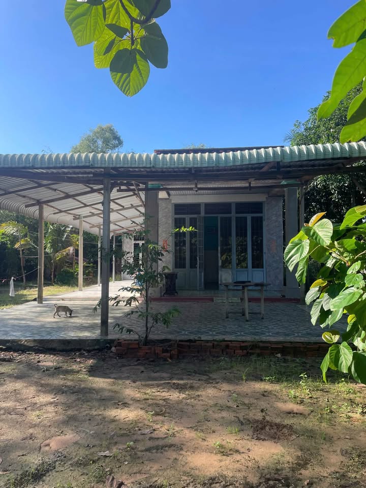 Đất thổ cư xã Phan Dương Minh Châu 800m² giá 1.2 tỷ - Cơ hội đầu tư tuyệt vời!