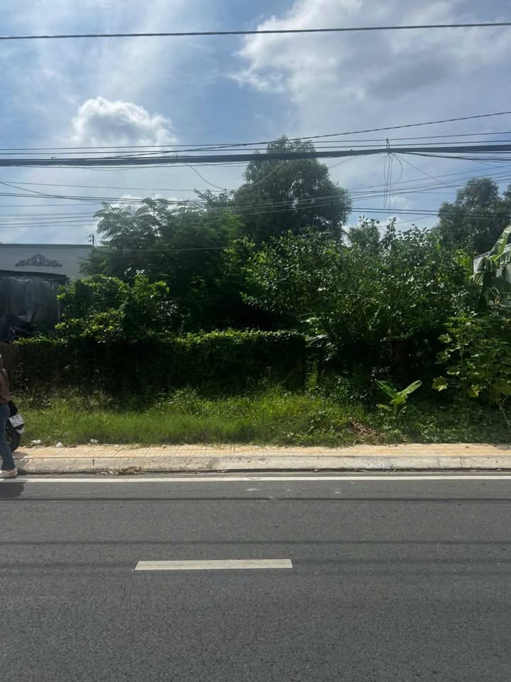 Đất Mặt Tiền Đường Tôn Đức Thắng, Hòa Thành, Tây Ninh 800m² Giá 3.6 Tỷ - Cơ Hội Đầu Tư Hiếm Có!