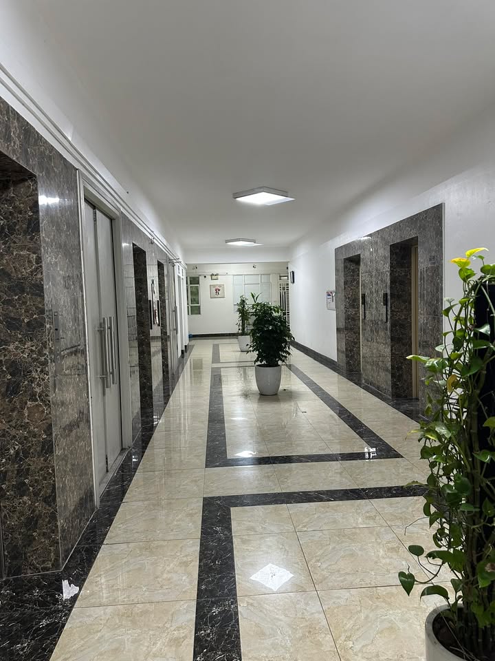 Căn hộ 7A Lê Đức Thọ 55m² giá 5 tỷ - Nhà đẹp, chỉ việc vào ở!