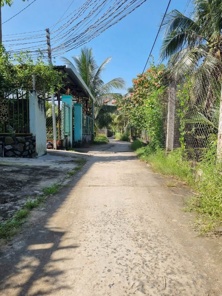 Nhà sân vườn rộng 488m² tại Bình Phú, Bến Tre - Giá chỉ 1.5 tỷ