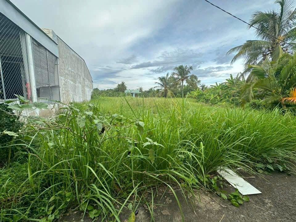 Đất thổ cư tại phường 7, Bến Tre 132,5m² giá chỉ 1,1 tỷ - Đầu tư sinh lời ngay!