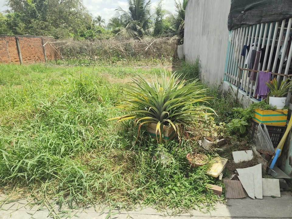 Đất Phú Khương Bến Tre 100m² giá 880 triệu - Sổ đỏ chính chủ, thổ cư 100%!