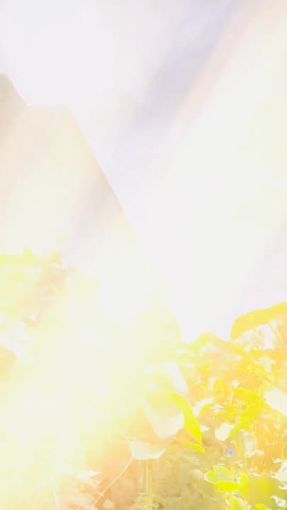 Đất nền Phường Phú Khương, Bến Tre 149m² - Sổ đỏ chính chủ, không quy hoạch!