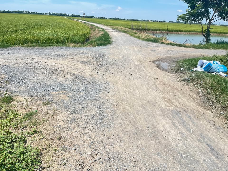 Đất ruộng 15.000m² xã Bình Phú, huyện Tân Hồng giá 2.9 tỷ - Mặt tiền đường đá mi rộng rãi!