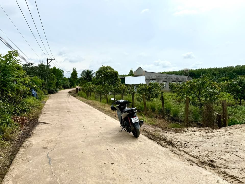 Đất thổ cư 464m² tại Xuân Hưng - Gần Quốc lộ 1A, giá tốt thương lượng!