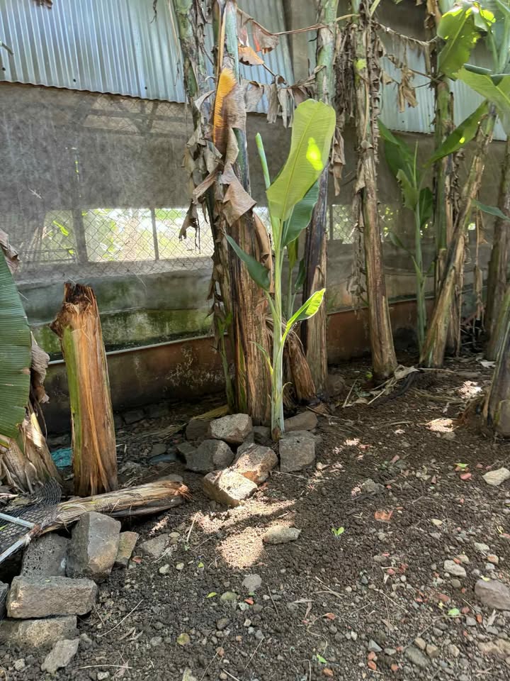 Đất nền 2,7 sào tại Gia Tân 1, Thống Nhất - Giá chỉ 2.7 tỷ VND