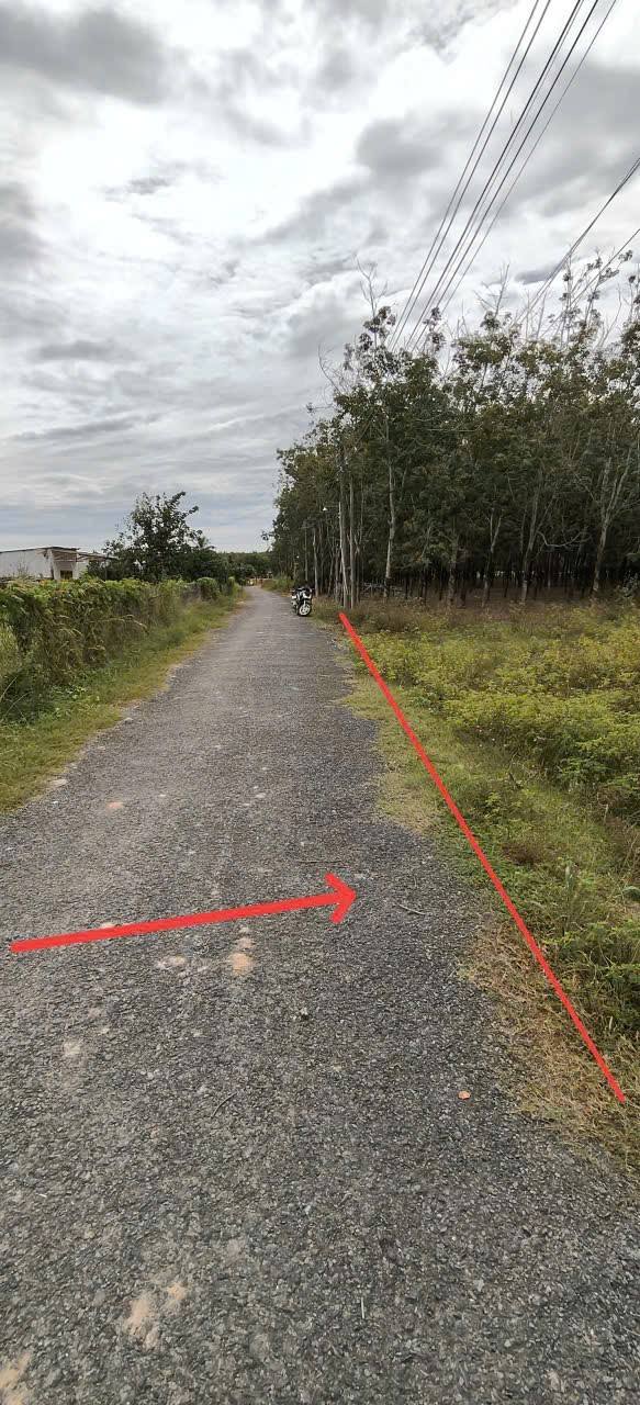 Đất thổ cư 50m² tại xã Thành Long, huyện Châu Thành, Tây Ninh - Giá chỉ 4.5 tỷ!