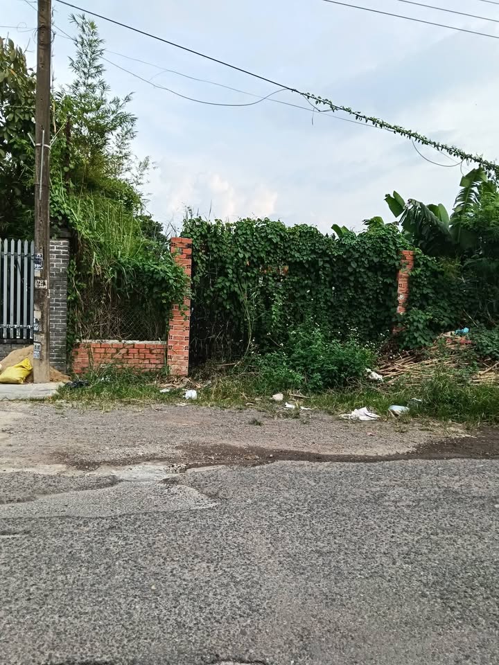 Đất nền mặt tiền đường chính Sông Thao Bàu Hàm 585m² giá 4 tỷ - Sổ đỏ chính chủ!