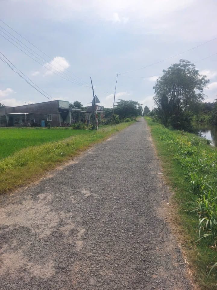 Đất nền Hòa Lợi, Châu Thành, Trà Vinh 135m² giá 400 triệu - Cơ hội đầu tư hấp dẫn!