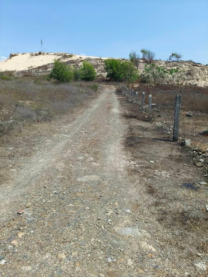 Bán đất thôn Kê Gà, xã Tân Thành, huyện Hàm Thuận Nam 1100m² - Đầu tư sinh lời gần biển!