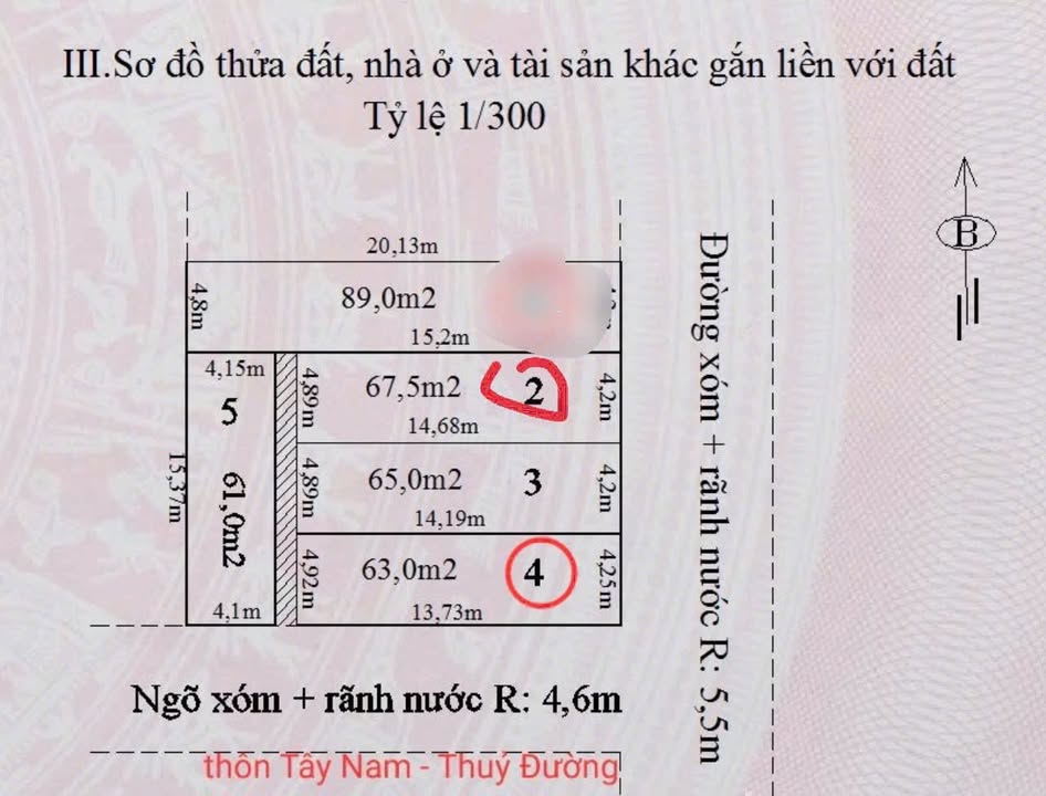 Đất nền thôn Tây Nam, xã Thuỷ Đường 67.5m² giá 2 tỷ - Mặt tiền đường lớn, kinh doanh thuận lợi!