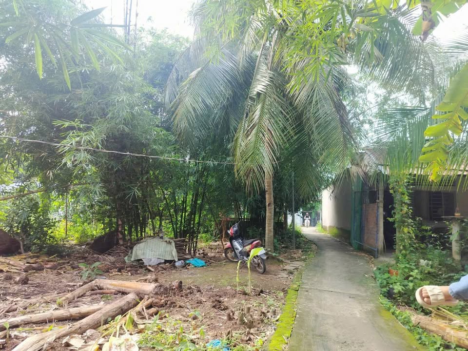 Đất nền Tân Phú, Cái Răng 150m² giá 420 triệu - Sổ hồng chính chủ!