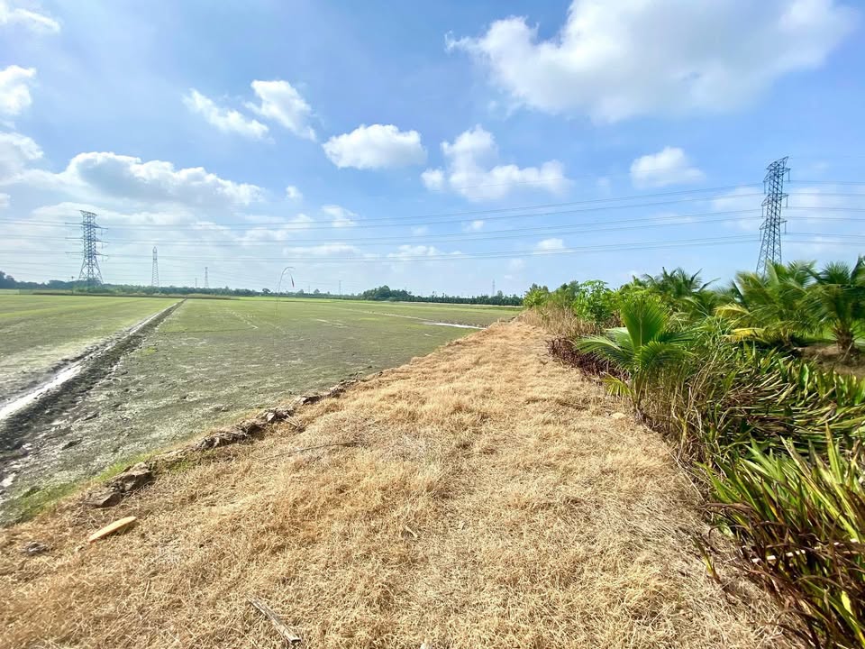 Đất lúa Ô Môn 3,317m² giá 800 triệu - Đất vuông đẹp, tiện ích đầy đủ!