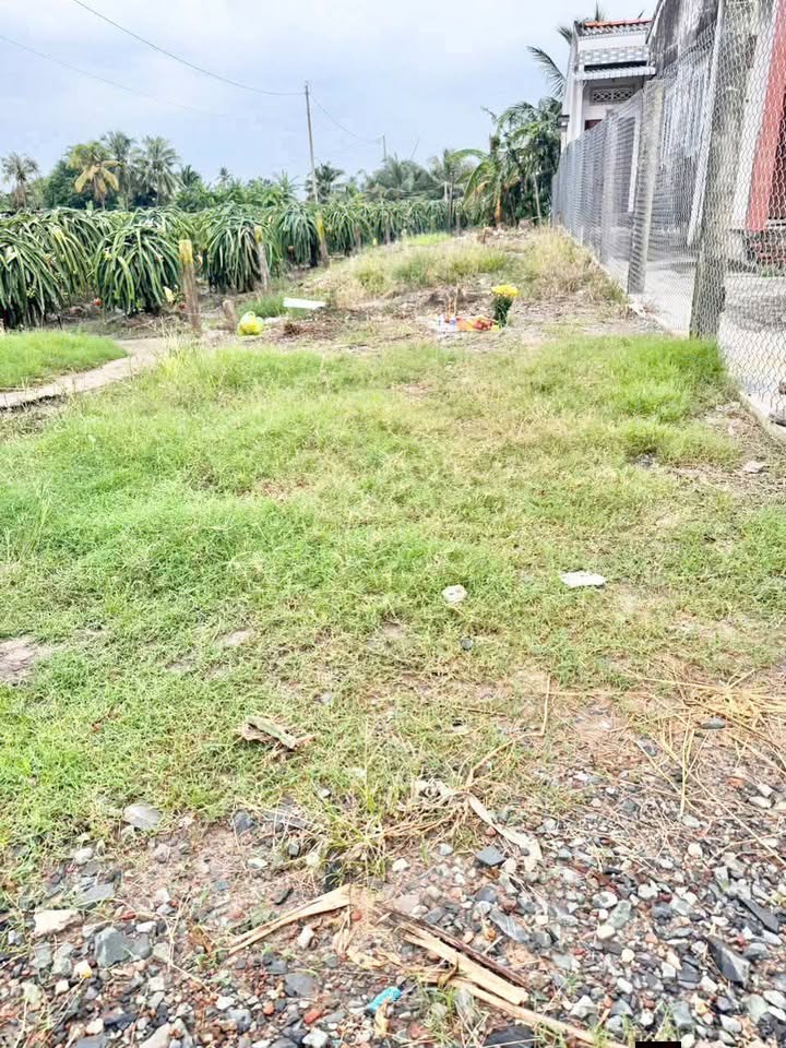 Đất nền thổ cư mặt tiền Lộ Dừa, xã Vĩnh Công, Tây Ninh - Giá chỉ 1 tỷ!