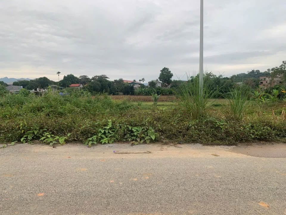 Đất thổ cư Lưỡng Vượng Tuyên Quang 90m² giá 1.88 tỷ - Đầu tư sinh lời ngay!