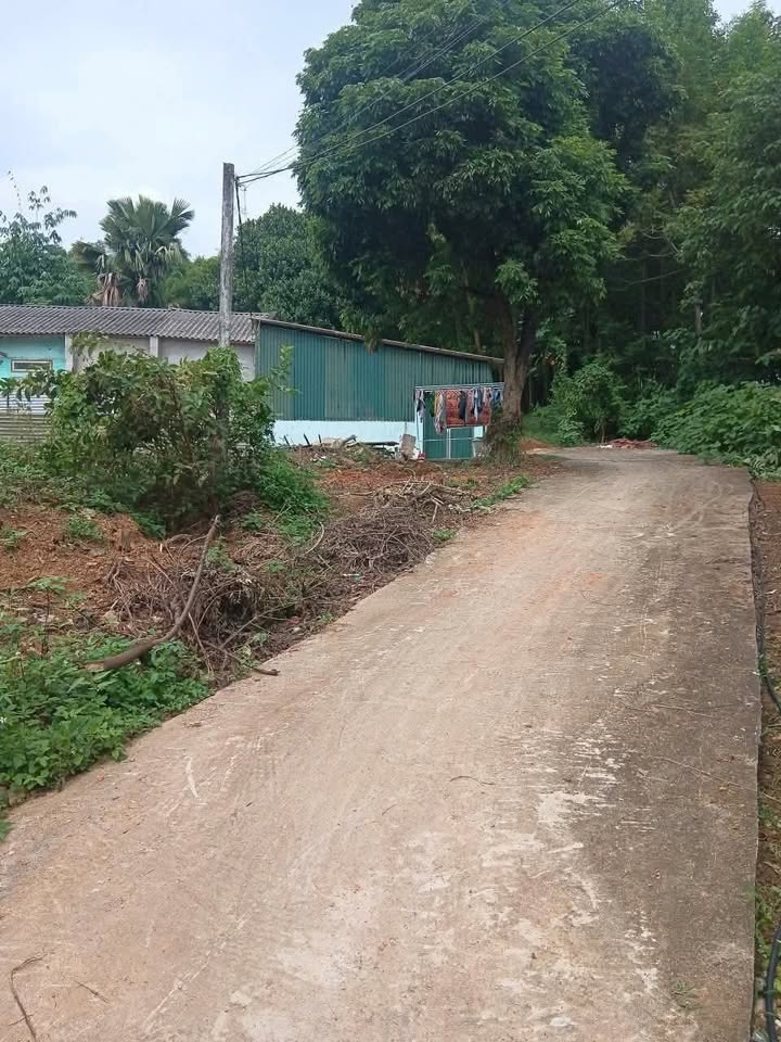 Đất nền An Tường Tuyên Quang 430m² - Giá chỉ 1 tỷ, cơ hội đầu tư hấp dẫn!