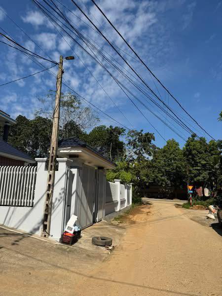 Đất nền phân lô An Tường 84m² giá 1 tỷ - Đầu tư sinh lời hấp dẫn!