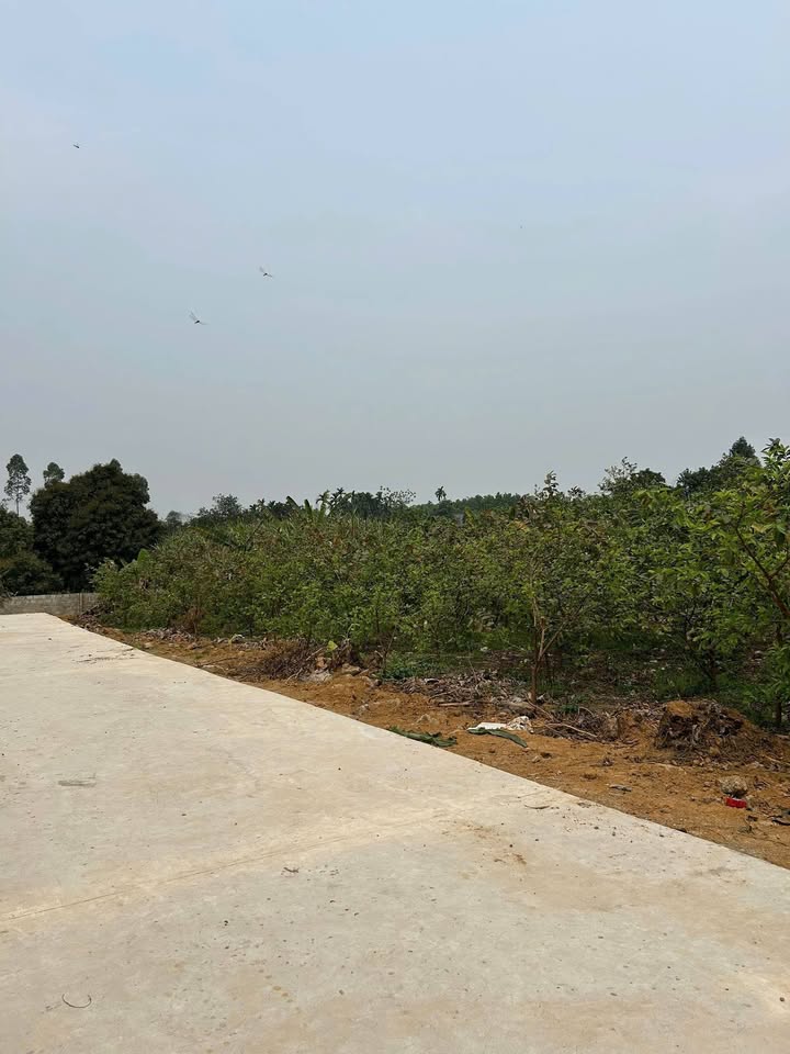 Đất nền Kim Phú 119m² giá 900 triệu - Sổ đỏ chính chủ, gần chợ!