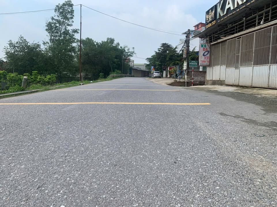 Đất trục chính TL305, xã Hoàng Đan, huyện Tam Dương, Vĩnh Phúc 207m² - Kinh doanh sầm uất!