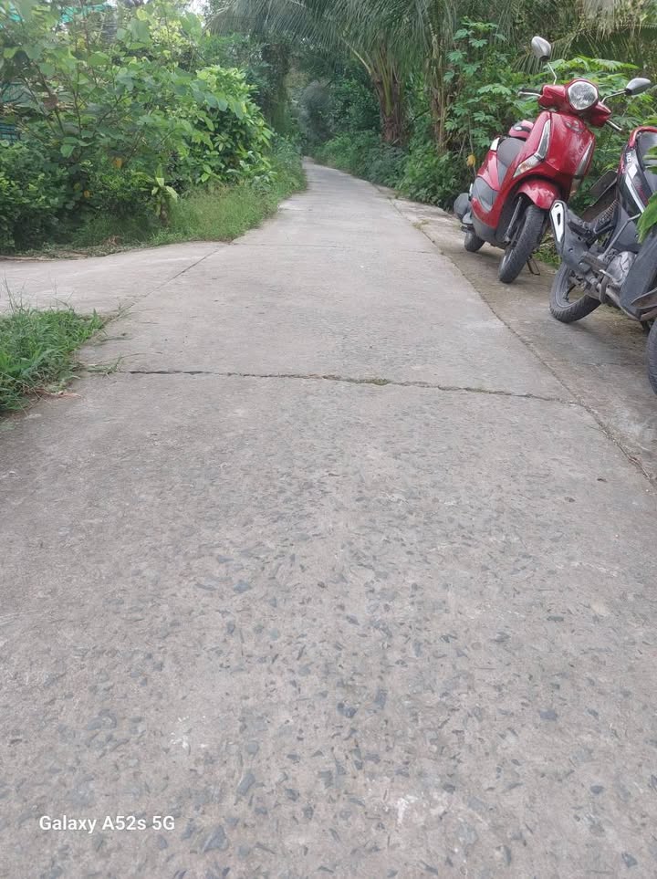 Đất vườn Tân Long Hội, Vĩnh Long 20 công - Đầu tư sinh lời ngay!