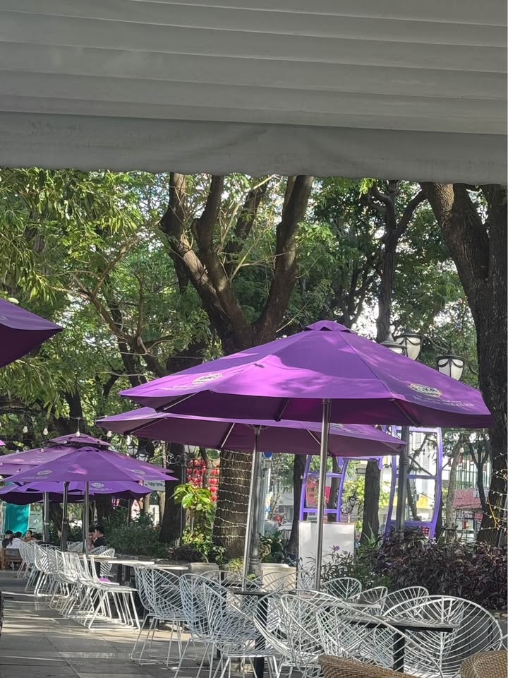 Nhà riêng tại trung tâm Đà Nẵng 125m² giá 5.2 tỷ - Đầu tư sinh lời ngay!