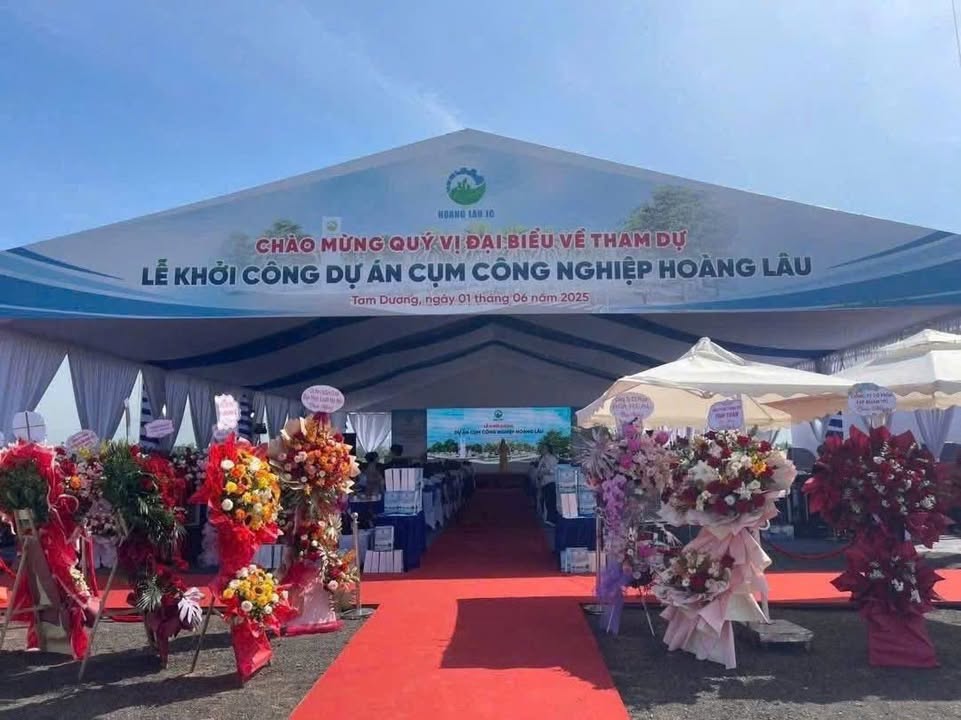 Bán đất 100m² tại Hoàng Lâu, Tam Dương - Sổ hồng chính chủ, giá chỉ 2 tỷ!