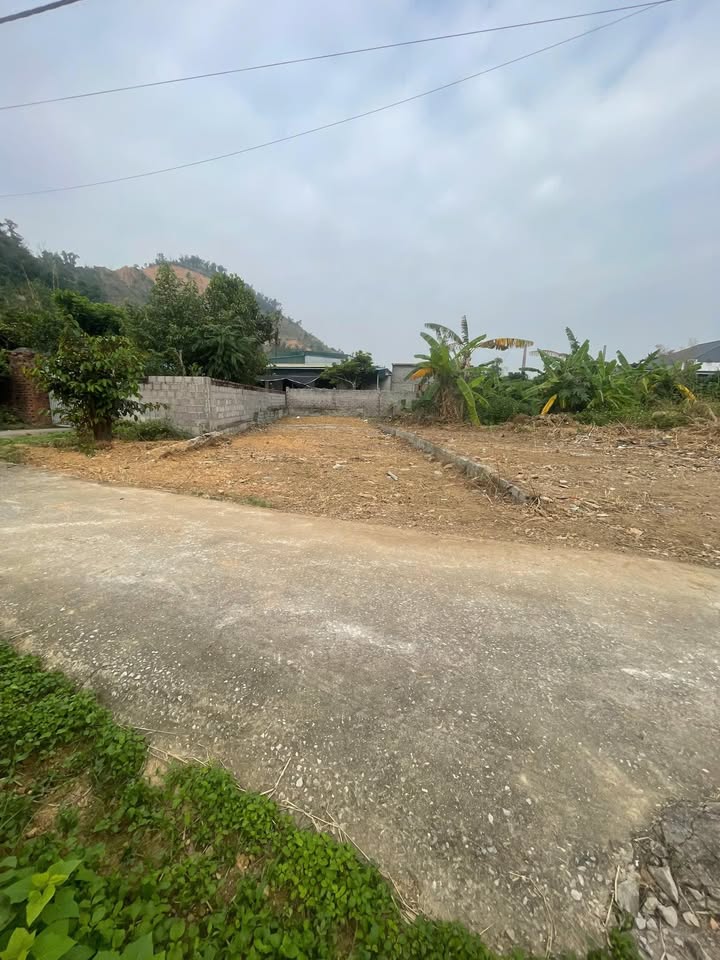 Đất thổ cư An Lão Hải Phòng 100m² giá 1.1 tỷ - Chính chủ bán gấp!