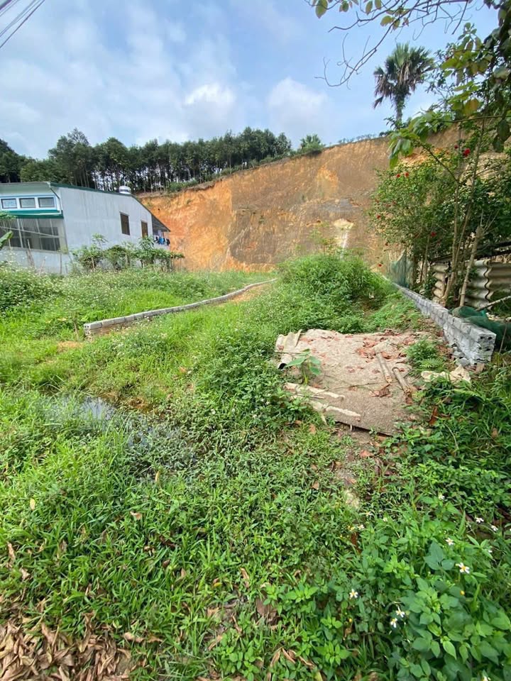 Đất nền mặt đường Láng Tròn, phường Nam Cường 120m² giá 1 tỷ - Đầu tư sinh lời cao!