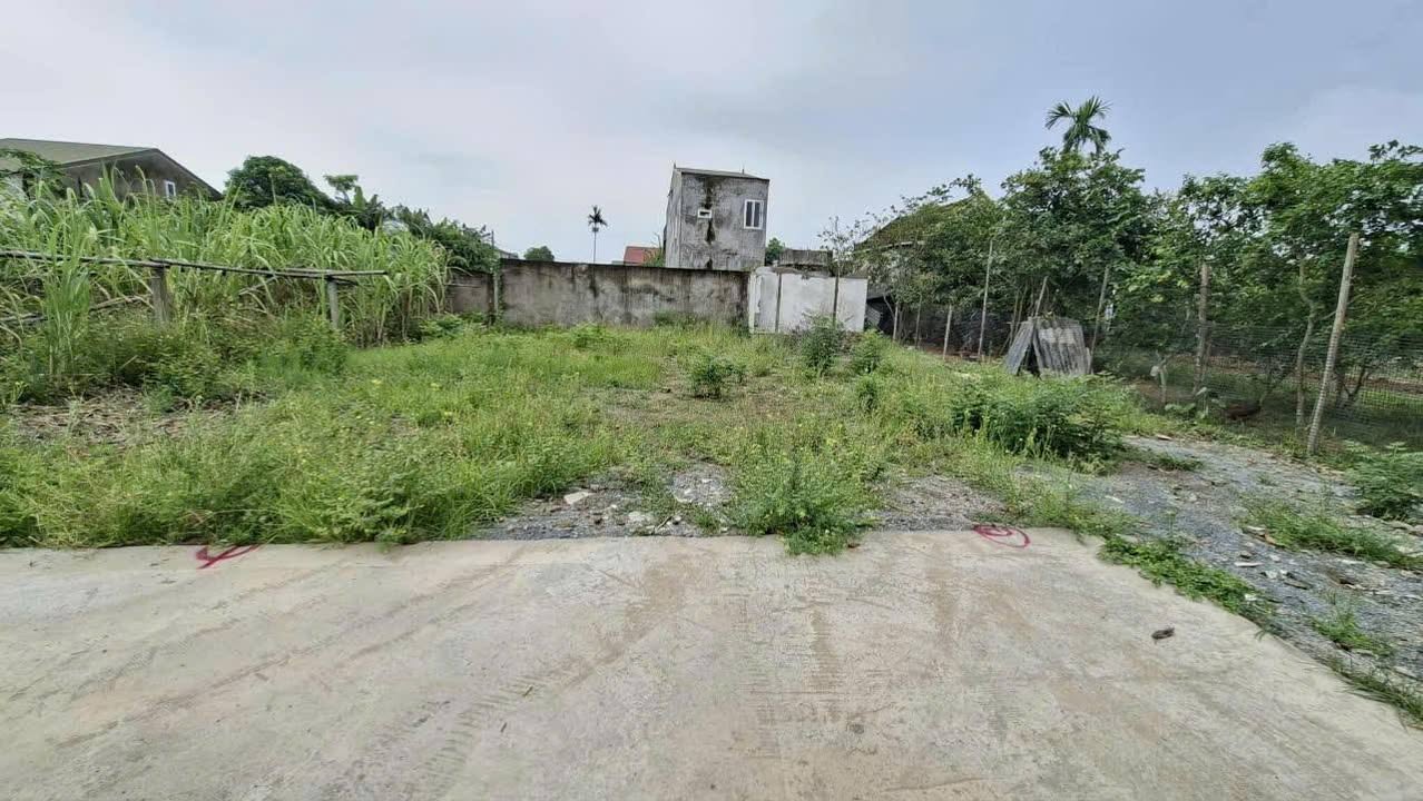 Đất nền Nghi Kim Vinh 67m² giá 1.1 tỷ - Cơ hội đầu tư tuyệt vời!