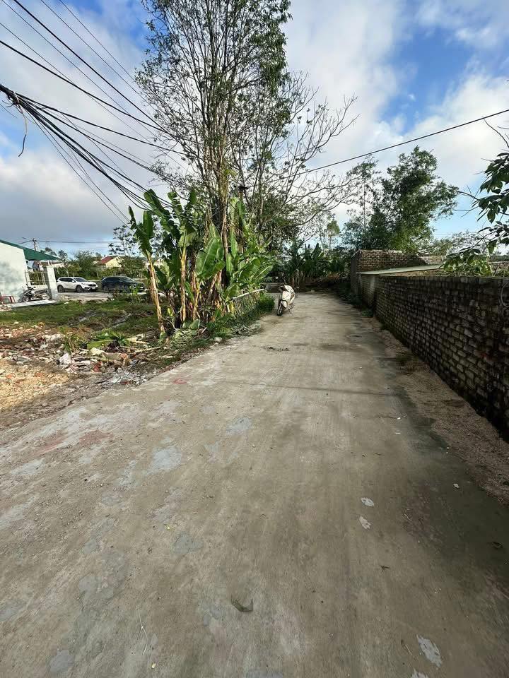 Đất nền Hưng Lộc, Vinh 51m² giá 1.5 tỷ - Gần đường Trần Thánh Tông!