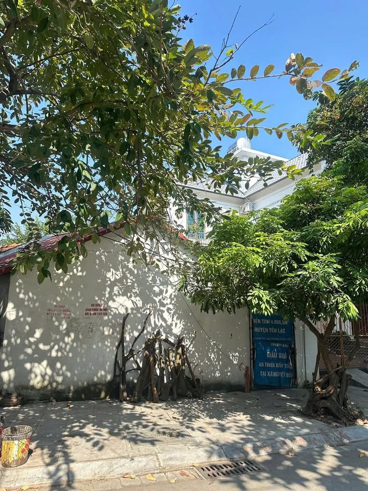 Đất nền đường Đầm Vạc Vĩnh Yên 111m² giá 3 tỷ - Cơ hội đầu tư hấp dẫn!