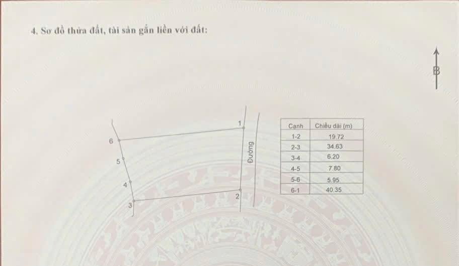Đất nền khu du lịch Đại Lải Ngọc Thanh 733m² giá 4.4 tỷ - Cơ hội đầu tư tuyệt vời!